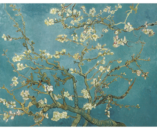 Vincent van Gogh - Kvetoucí mandloň - Almond Blossom - reprodukce